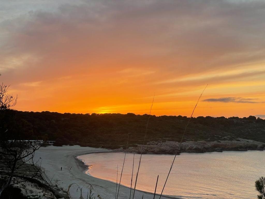 Apartamento Brisa De Menorca Son Parc Extérieur photo